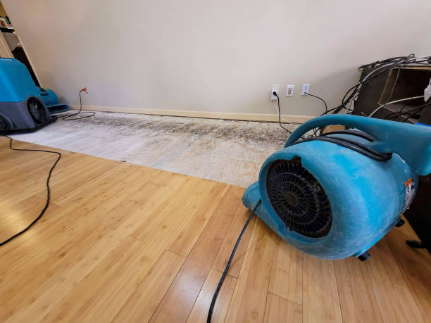 Professional Water Damage Repair technician working in Saint Clair, MO
